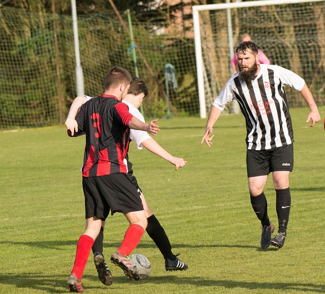 德罗赞的关 德罗赞的关