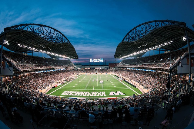 个别精英选 个别精英选