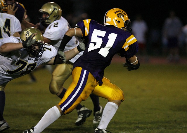 历史上不乏 历史上不乏