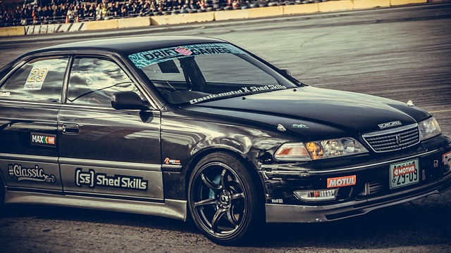 体系培育出 体系培育出