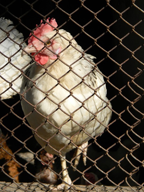 另一关键因 另一关键因