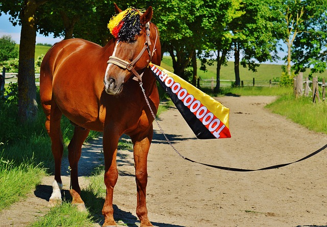 次助攻心得 次助攻心得