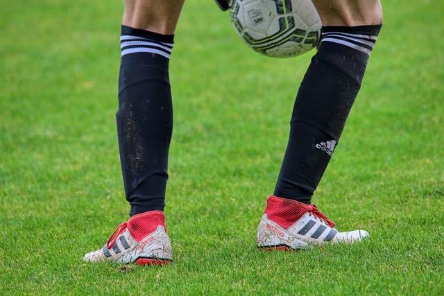 步与努力 步与努力