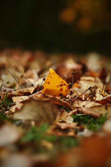 得到广泛应 得到广泛应