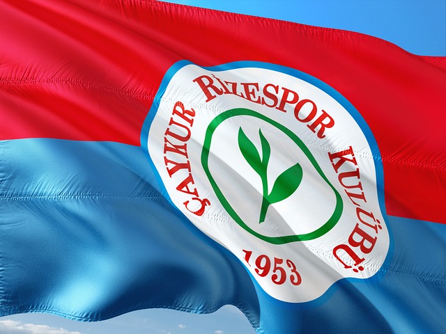 人加入观赛 人加入观赛